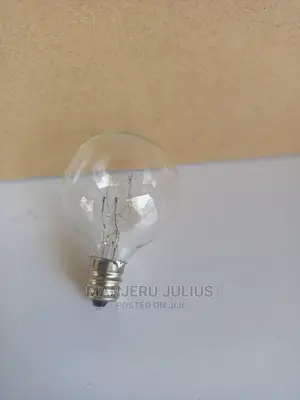 E12 Warm White Bulb