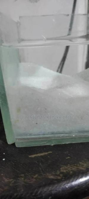 Aquarium White Sand for the Beautification - thumbnail 2