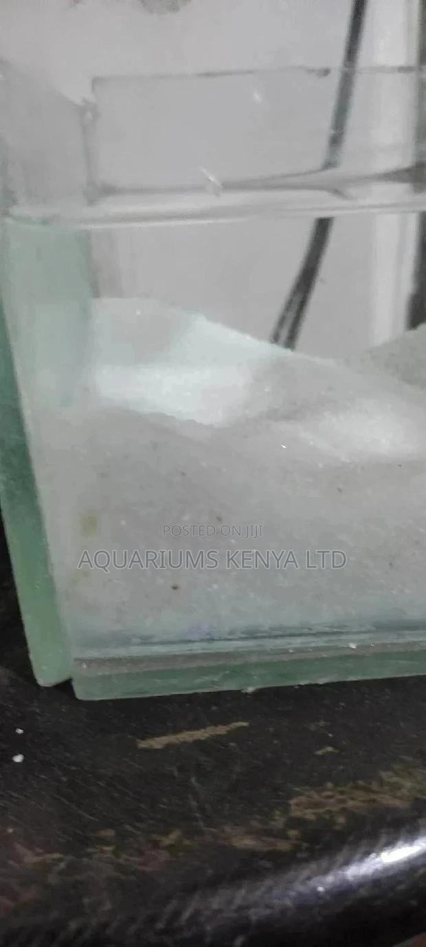 Aquarium White Sand for the Beautification - main view