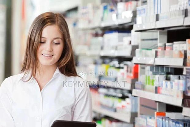 Supportive Point of Sale Software System for Pharmacy - main view