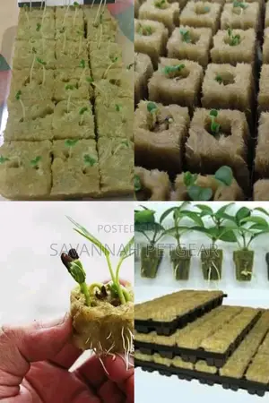 Rockwool For Hydroponic Farming Soilless Potting Medium
