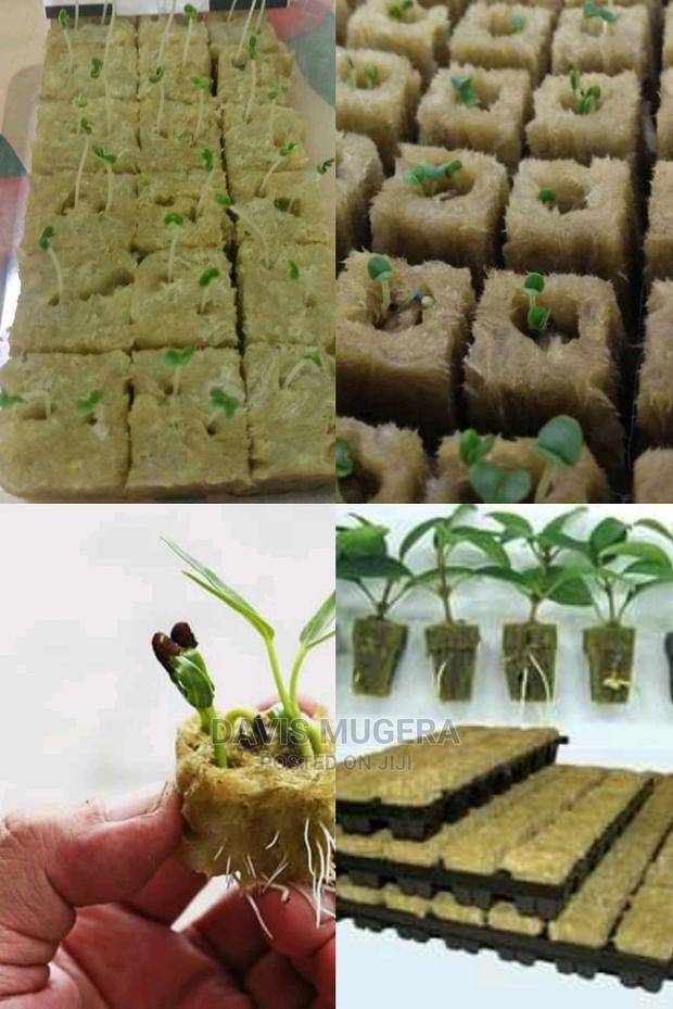 Rockwool For Hydroponic Farming Soilless Potting Medium - thumbnail 3