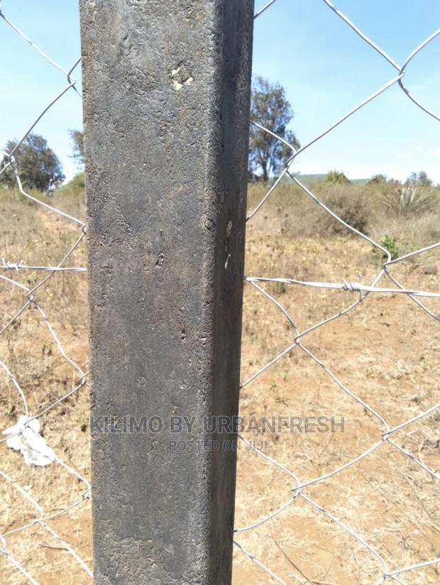 Plastic Fencing Poles - main view
