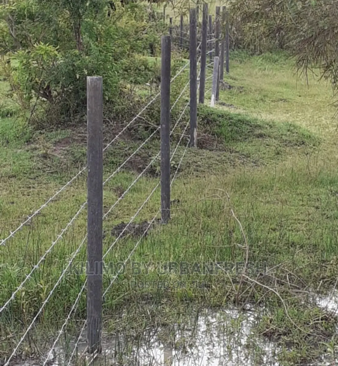 Plastic Fencing Poles