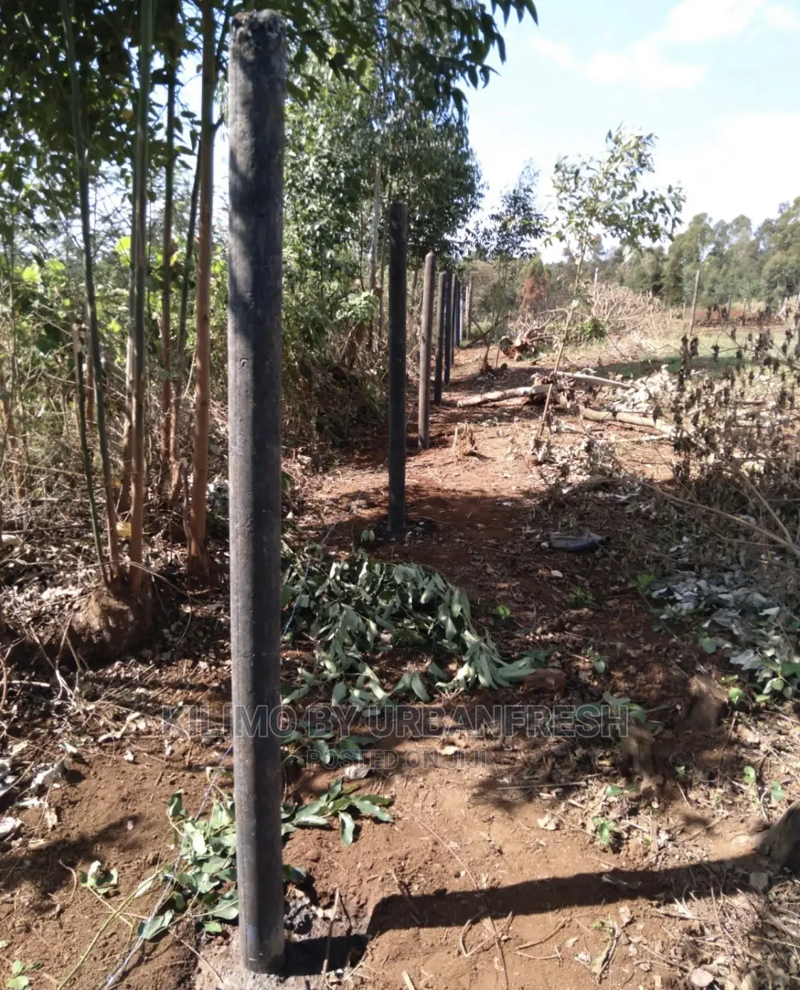 Plastic Fencing Poles
