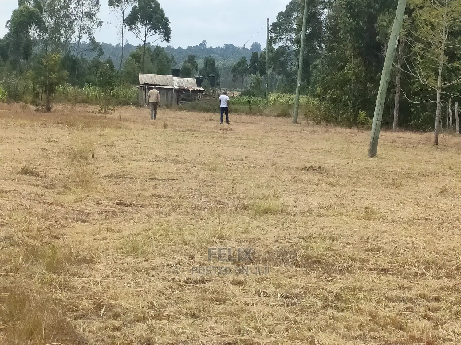 Karatina/Hiriga 1acre