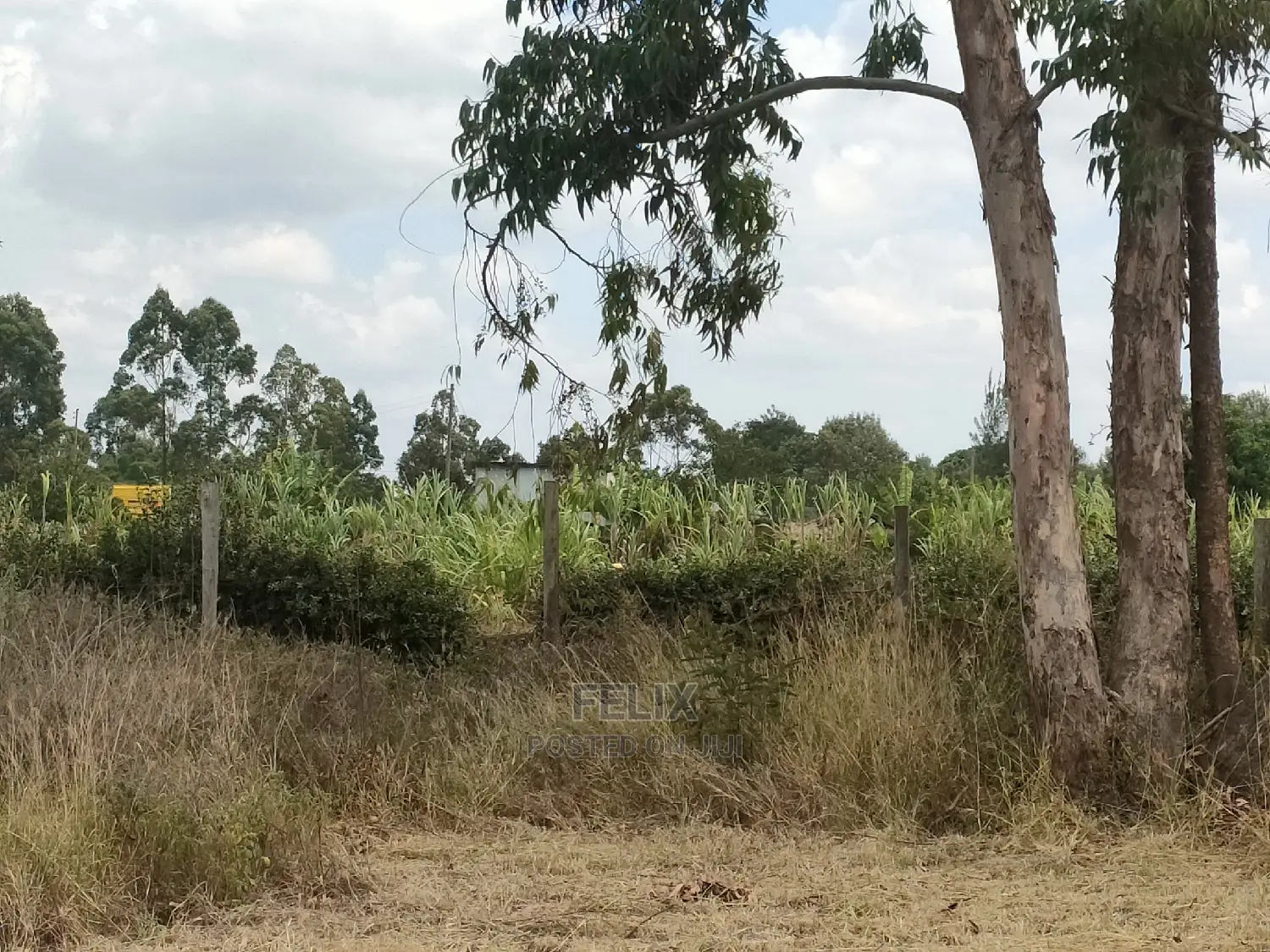 Karatina/Hiriga 1acre