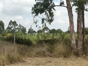 Karatina/Hiriga 1acre