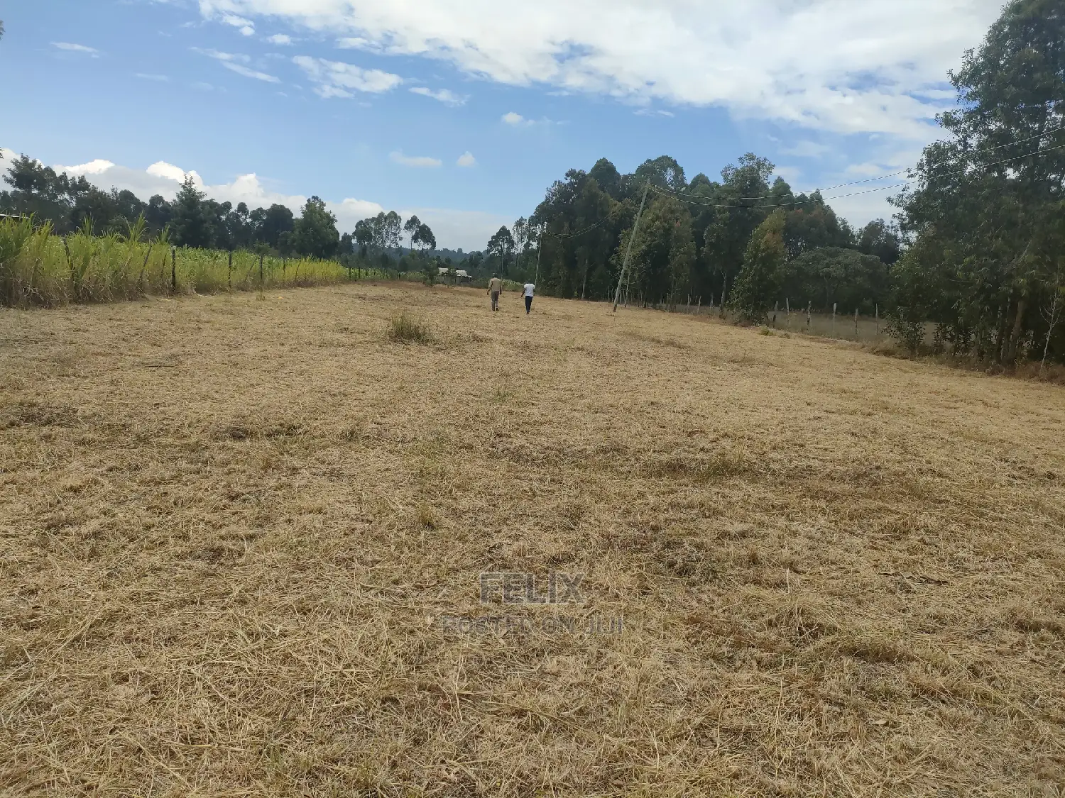 Karatina/Hiriga 1acre