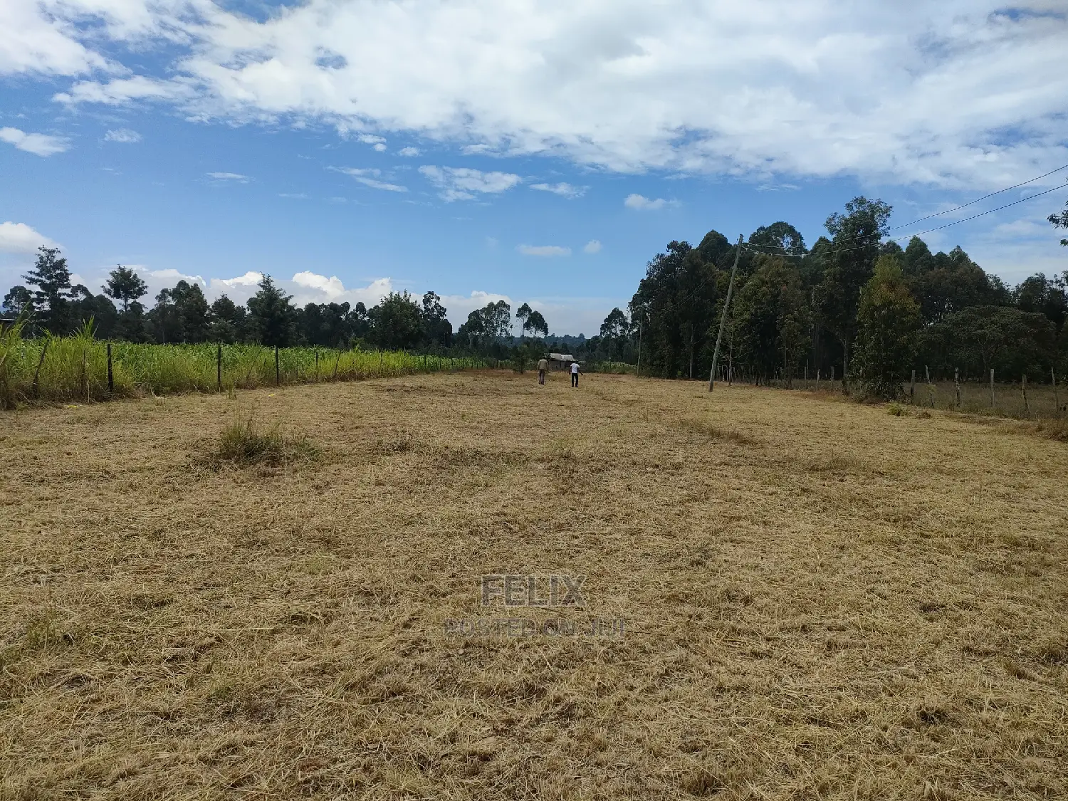 Karatina/Hiriga 1acre