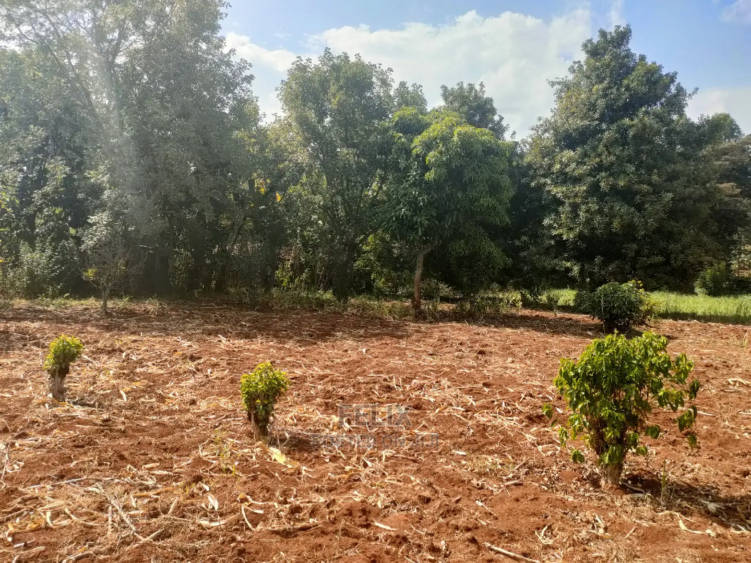 Karatina Kabiruini/Gwa Gachau 1acre