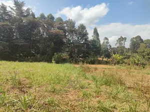 Karatina Kabiruini/Gwa Gachau 1acre