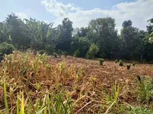Karatina Kabiruini/Gwa Gachau 1acre