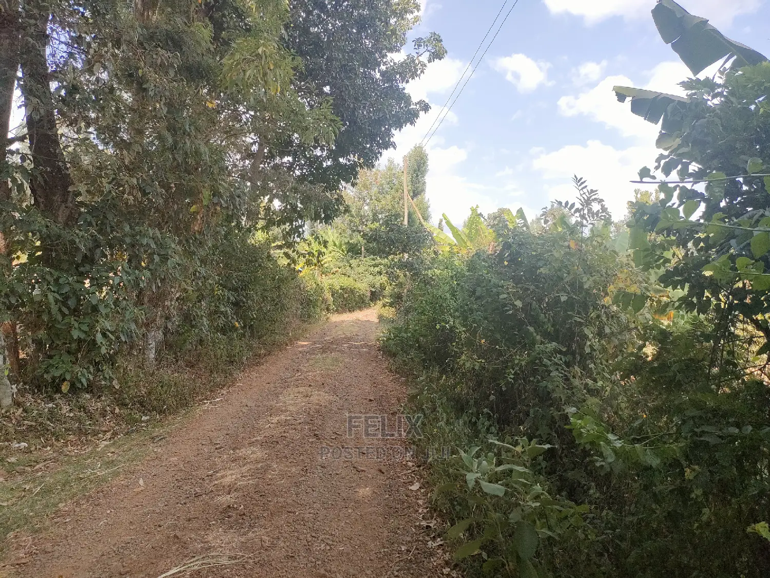 Karatina Kabiruini/Gwa Gachau 1acre