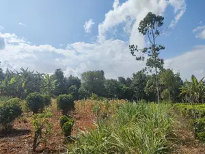 Karatina Kabiruini/Gwa Gachau 1acre