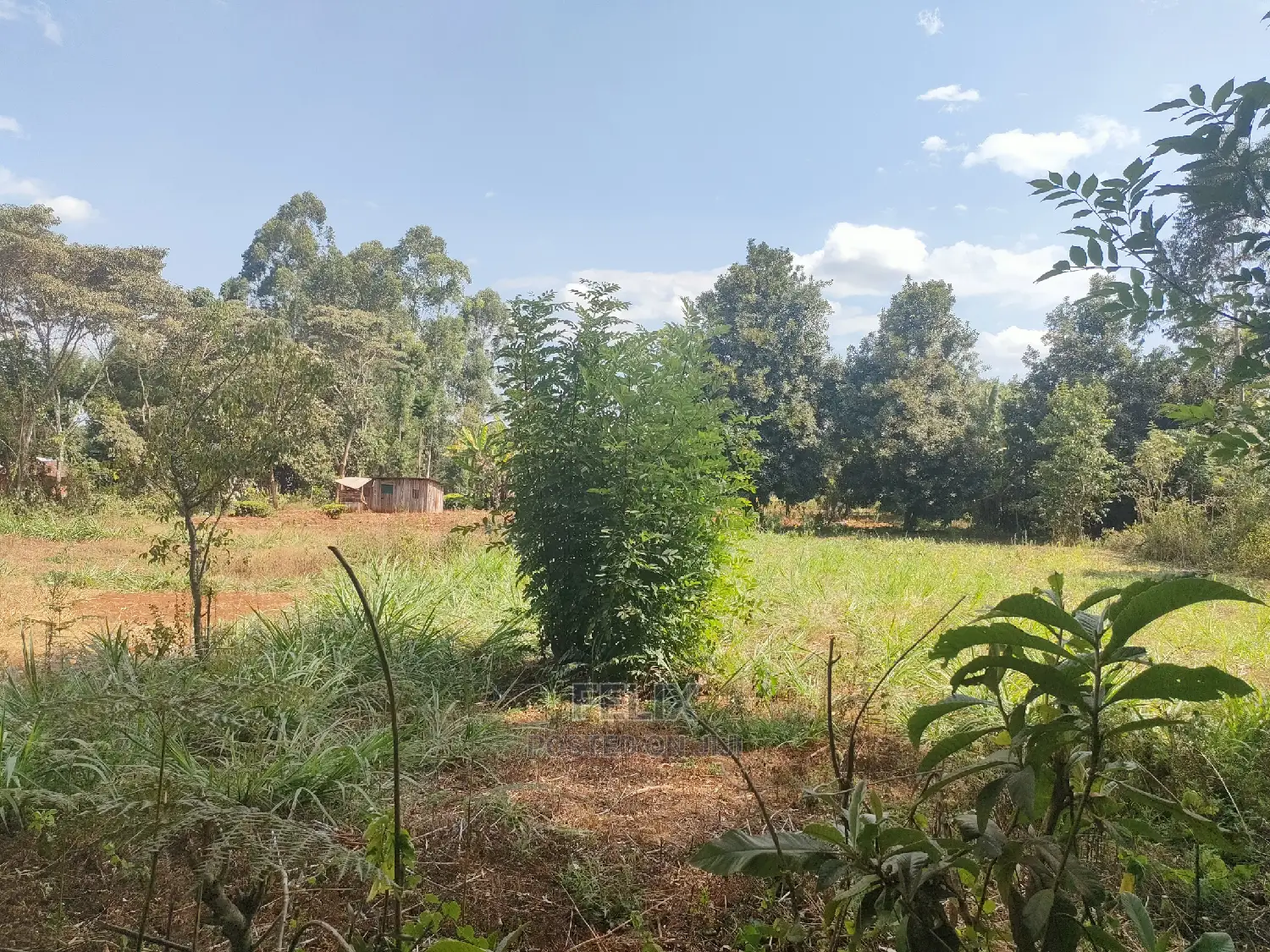 Karatina Kabiruini/Gwa Gachau 1acre