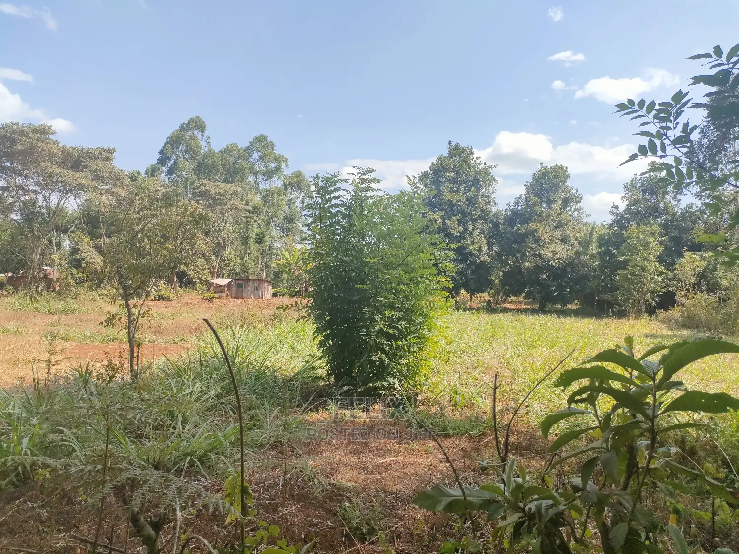 Karatina Kabiruini/Gwa Gachau 1acre
