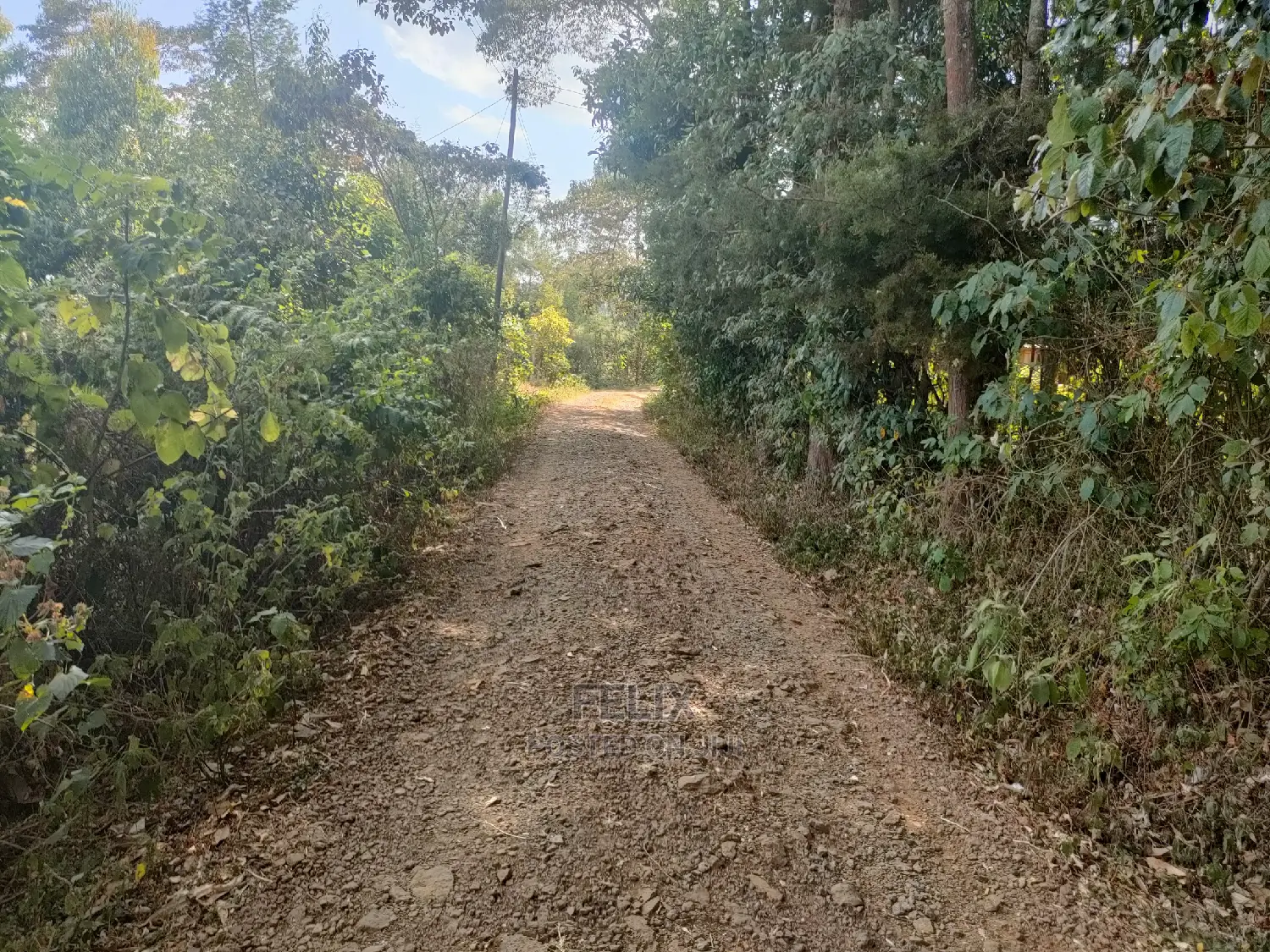 Karatina Kabiruini/Gwa Gachau 1acre