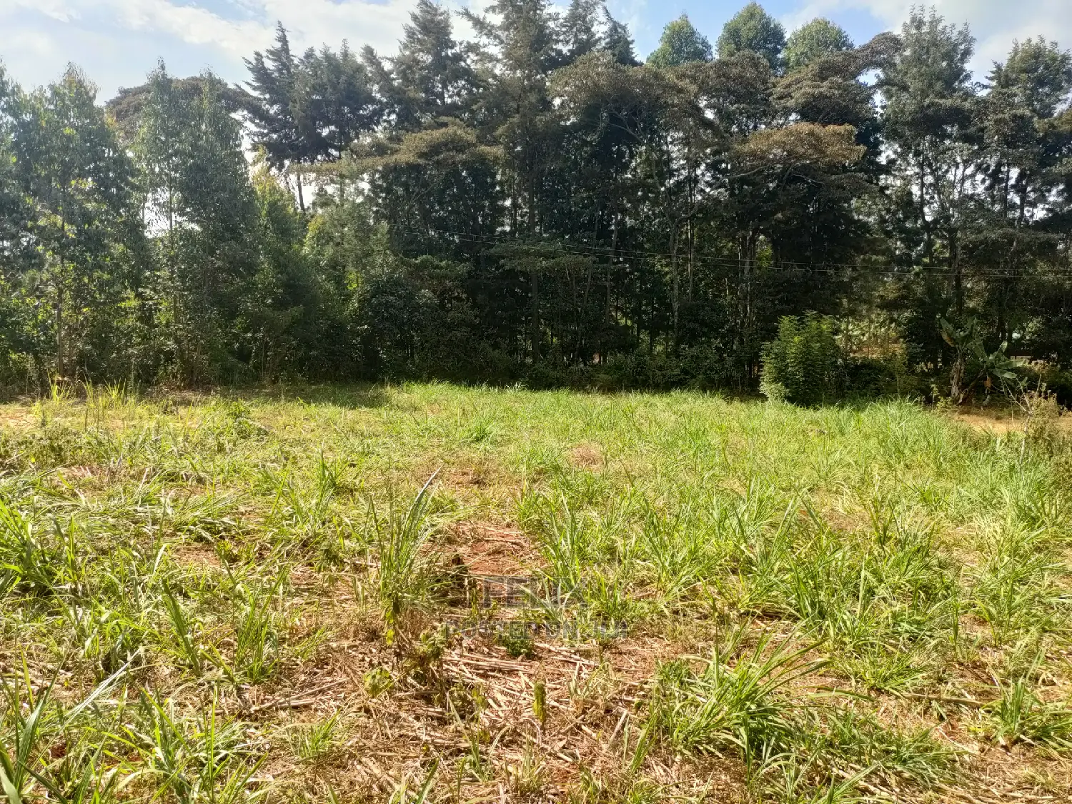 Karatina Kabiruini/Gwa Gachau 1acre