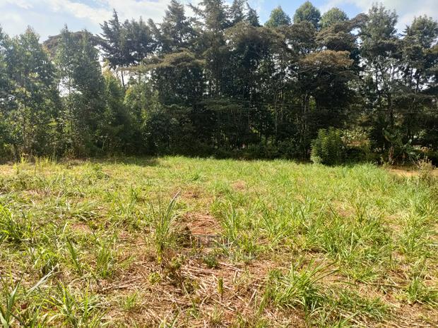 Karatina Kabiruini/Gwa Gachau 1acre - thumbnail 13