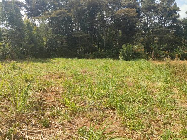 Karatina Kabiruini/Gwa Gachau 1acre - thumbnail 12