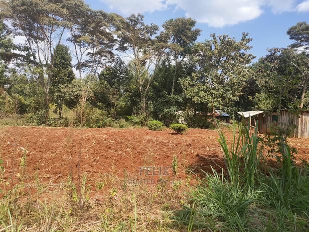 Karatina Kabiruini/Gwa Gachau 1acre - thumbnail 11