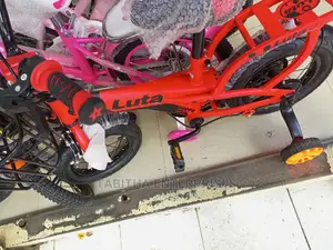 Kids Bicycles/Children Bicycles