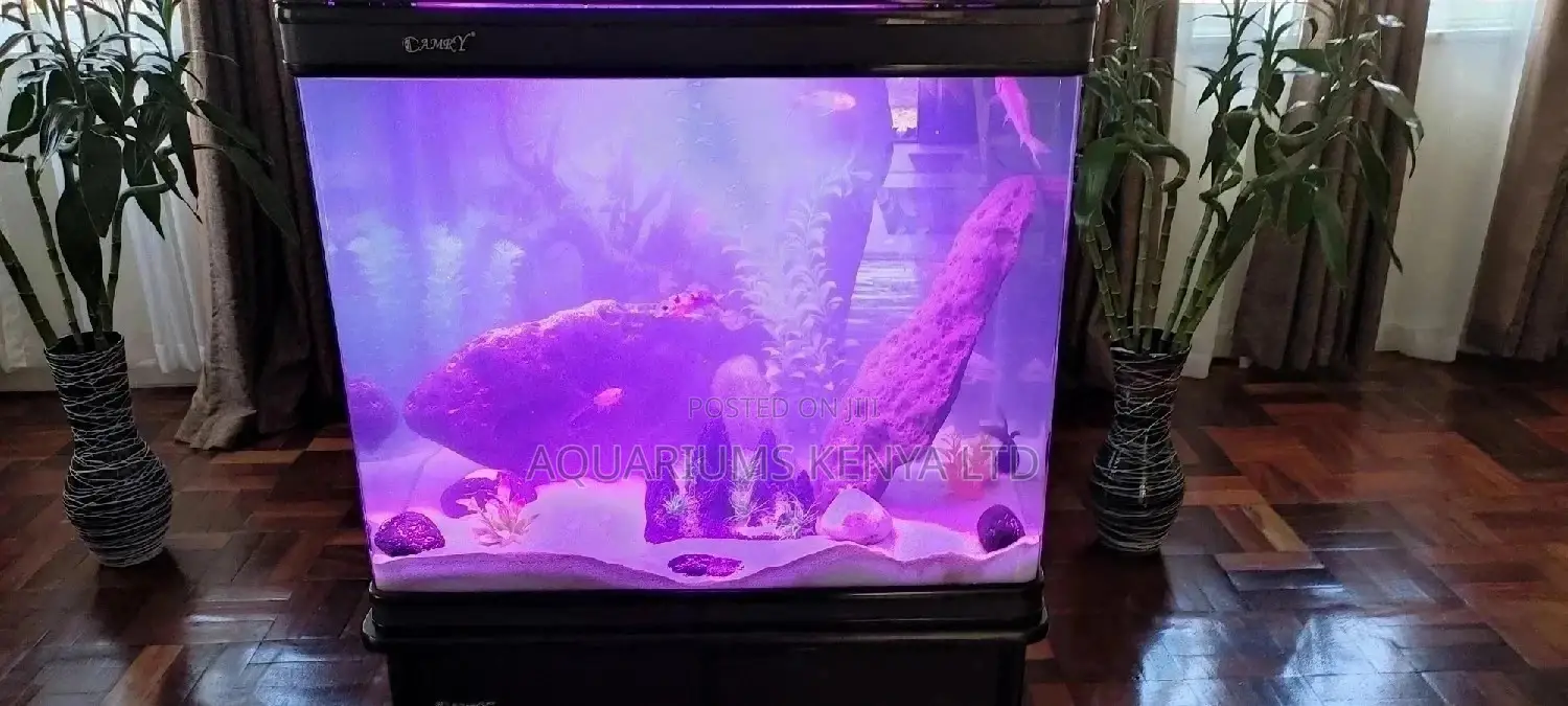 Beautiful Rock N Sand Aquascape