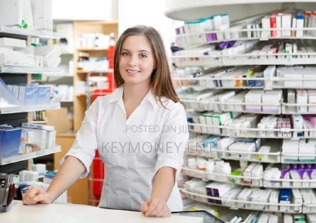 Pharmacy/Chemists Retail POS Software System - main view