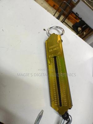 Spring Balance 100kgs - thumbnail 2