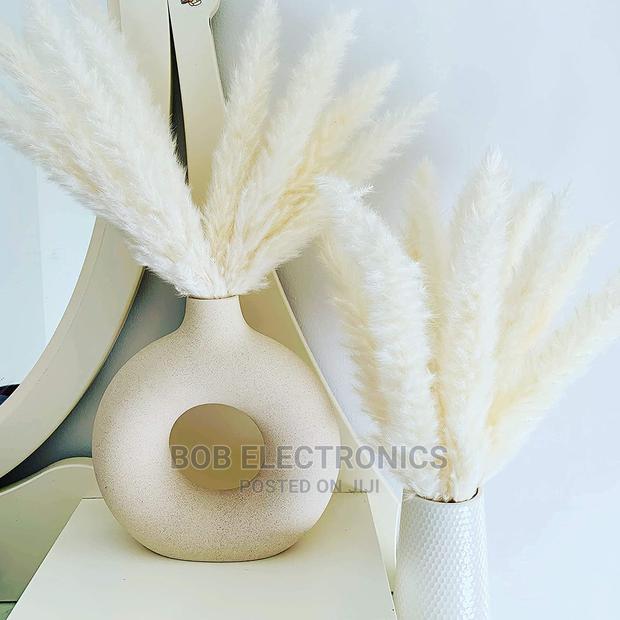 Decorative Pampas Grass