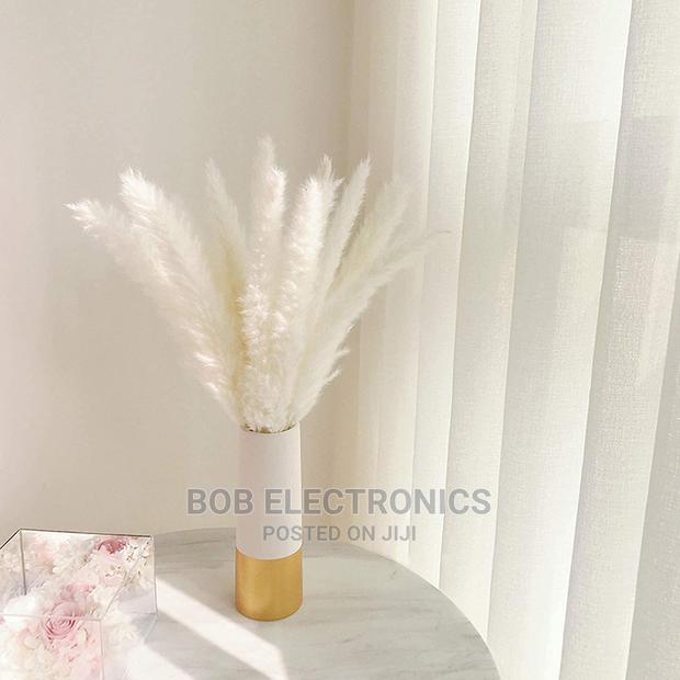 Decorative Pampas Grass - thumbnail 2