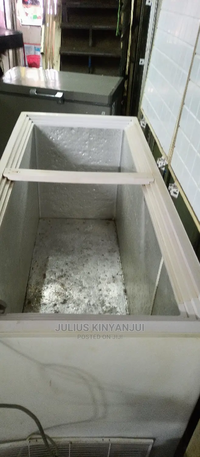 Double Door Freezer 650L
