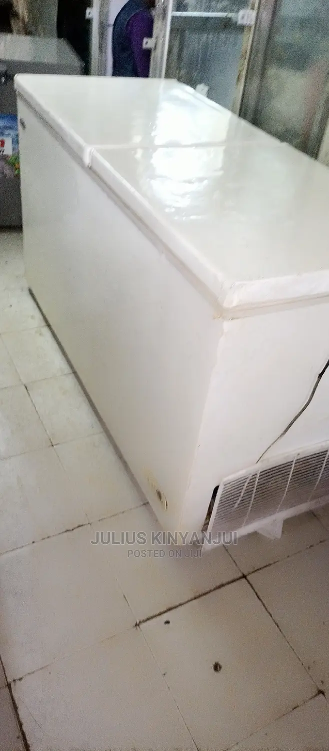 Double Door Freezer 650L