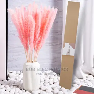 Pink Pampas Grass