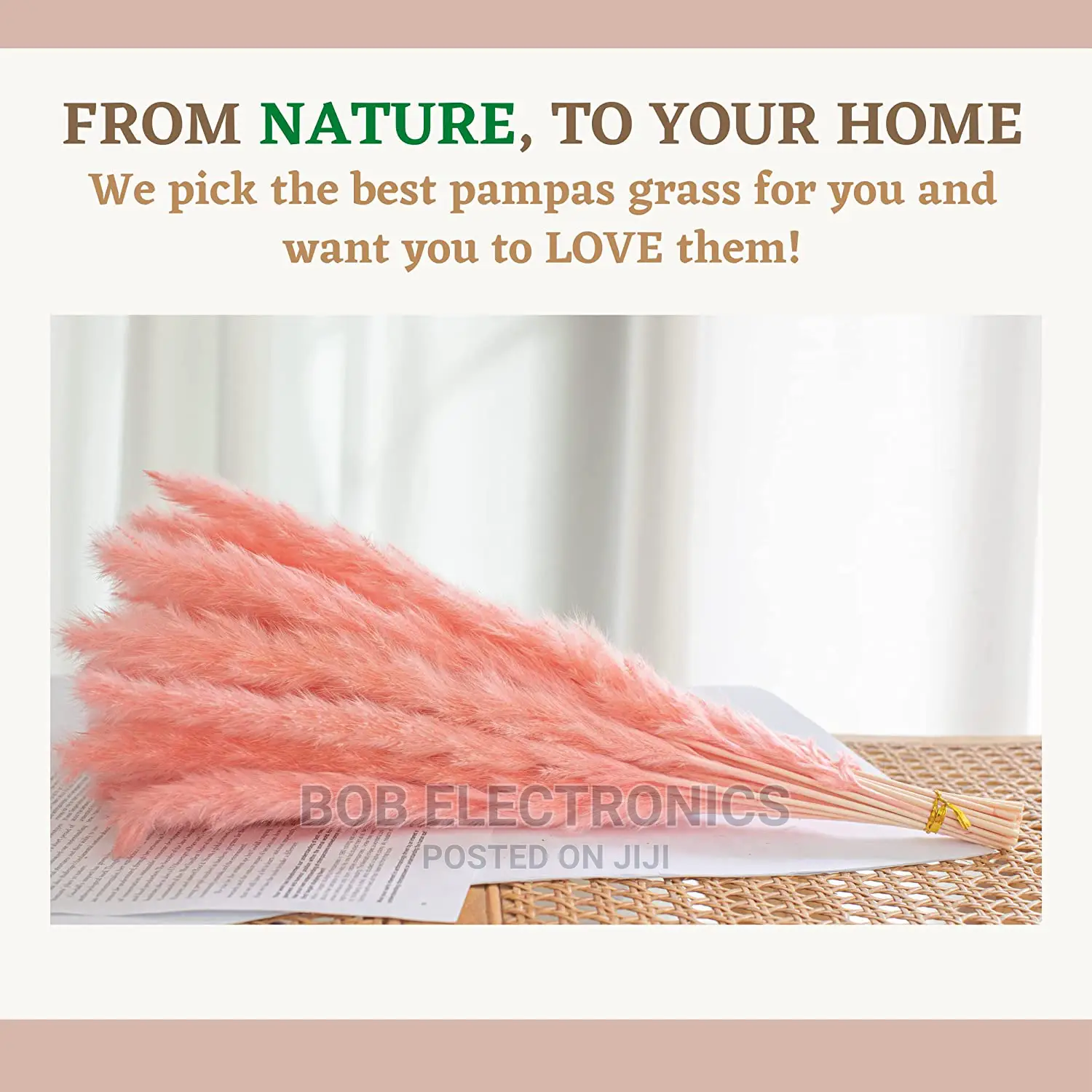 Pink Pampas Grass