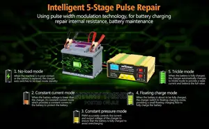 Generic Intelligent Fast Pulse Car Battery Charger 12v/24v