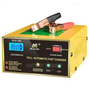 Generic Intelligent Fast Pulse Car Battery Charger 12v/24v