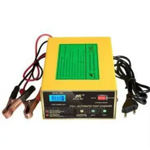 Intelligent Fast Battery Charger 12v and 24v Automatic
