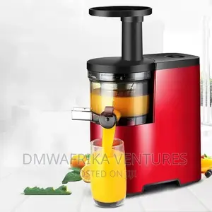 Slow Juicer (Rebune)