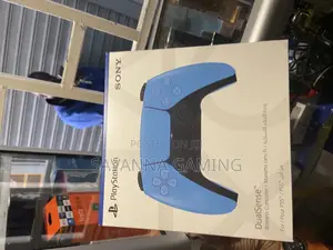Blue Ps5 Pad