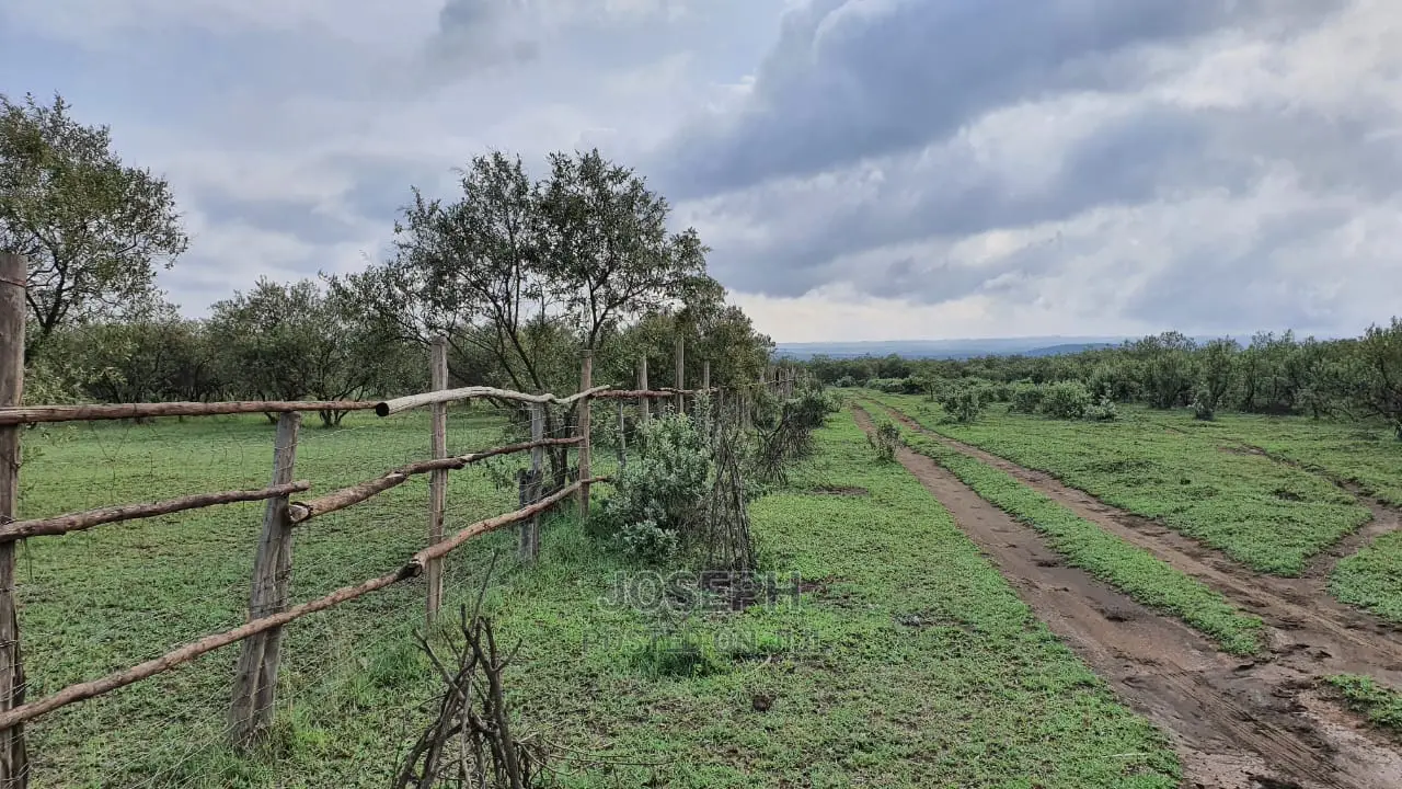Naivasha 5 and 10acres Within Developed Impala Estate