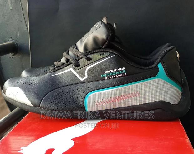 Puma Petronas - main view