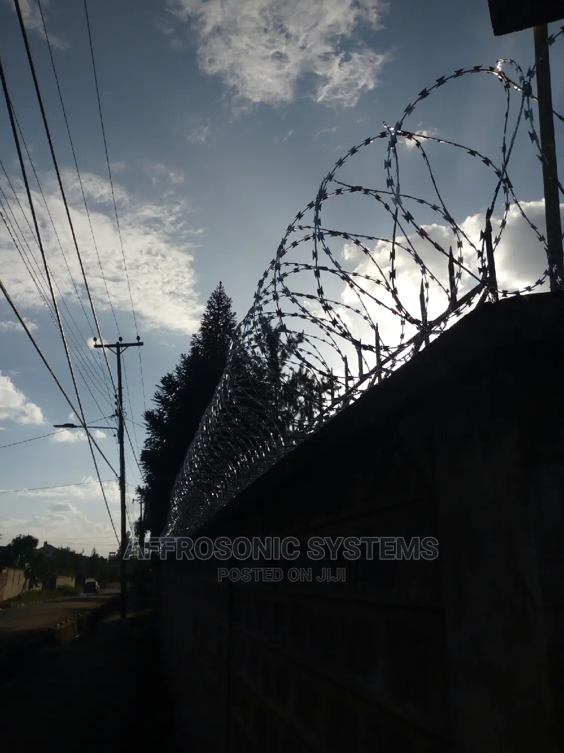 Double Galvanized Razor Wire (450mm)