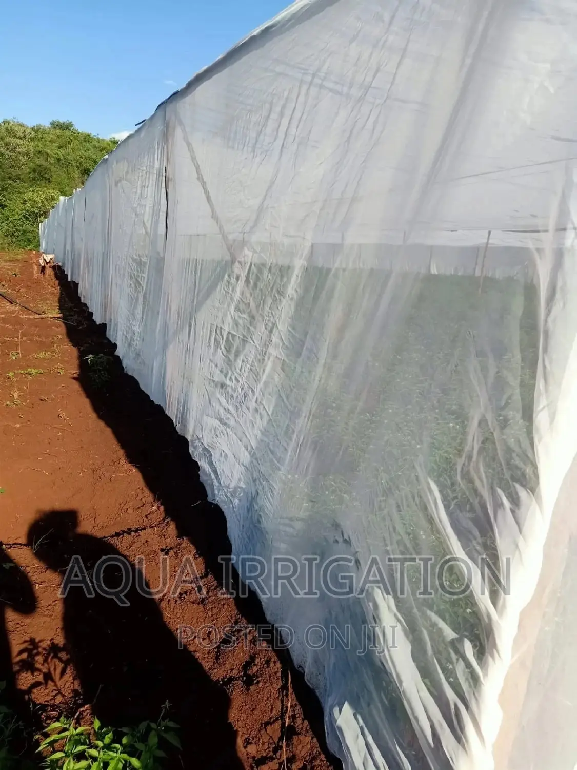 Insect Net Measurements 2.5×50/• 5.5×50