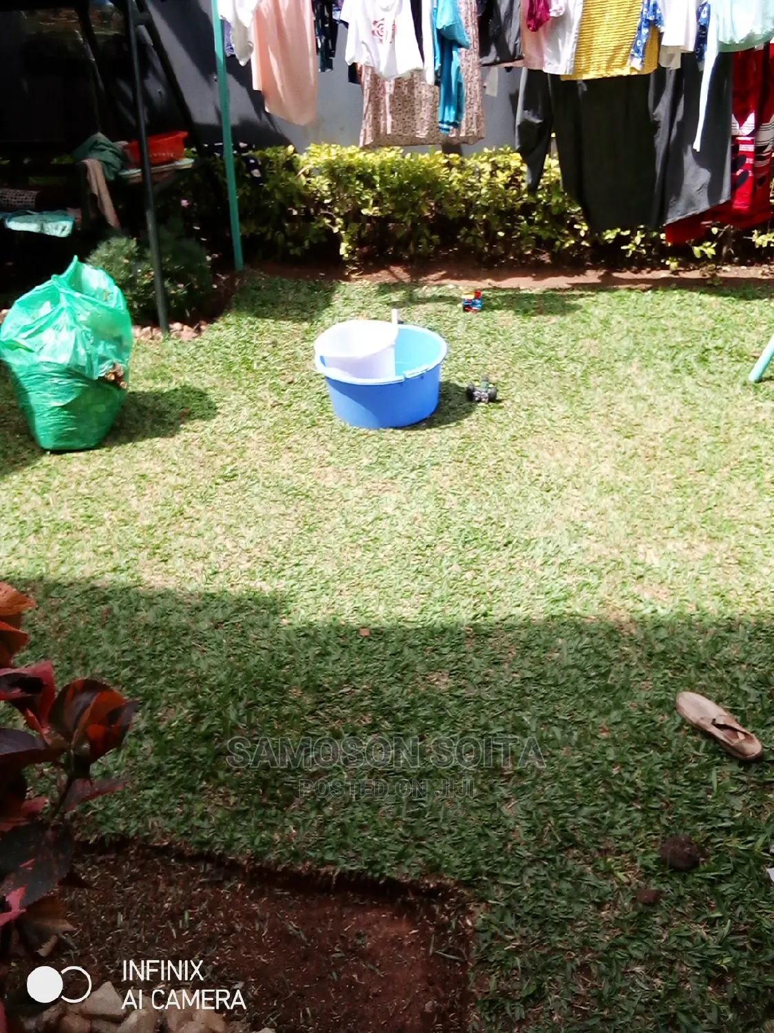 Gardening and Shaping Flowers