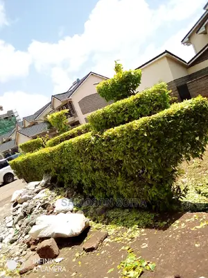 Gardening and Shaping Flowers