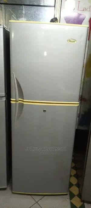 Double Door Fridge 270L