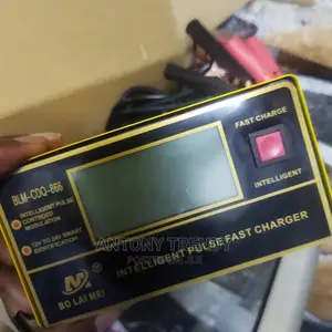 Intelligent Pulse Controlled Modulationbatterycharger12v24v