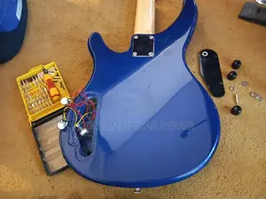 Guitar Repair / Guitar Fix